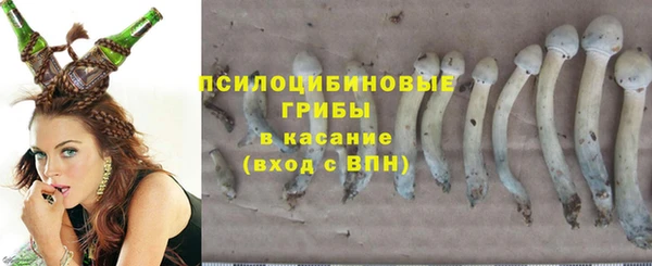 соль ск Балабаново