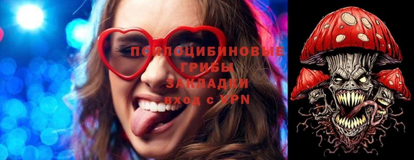 соль ск Балабаново