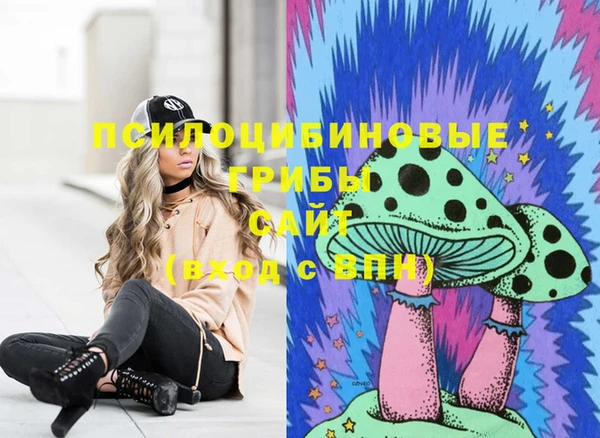 соль ск Балабаново